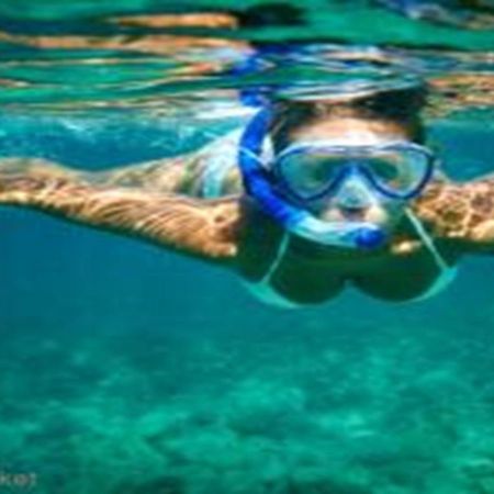 App - Il Fenicottero Con Parcheggio Gratuito Ad Orbetello Villa Dış mekan fotoğraf