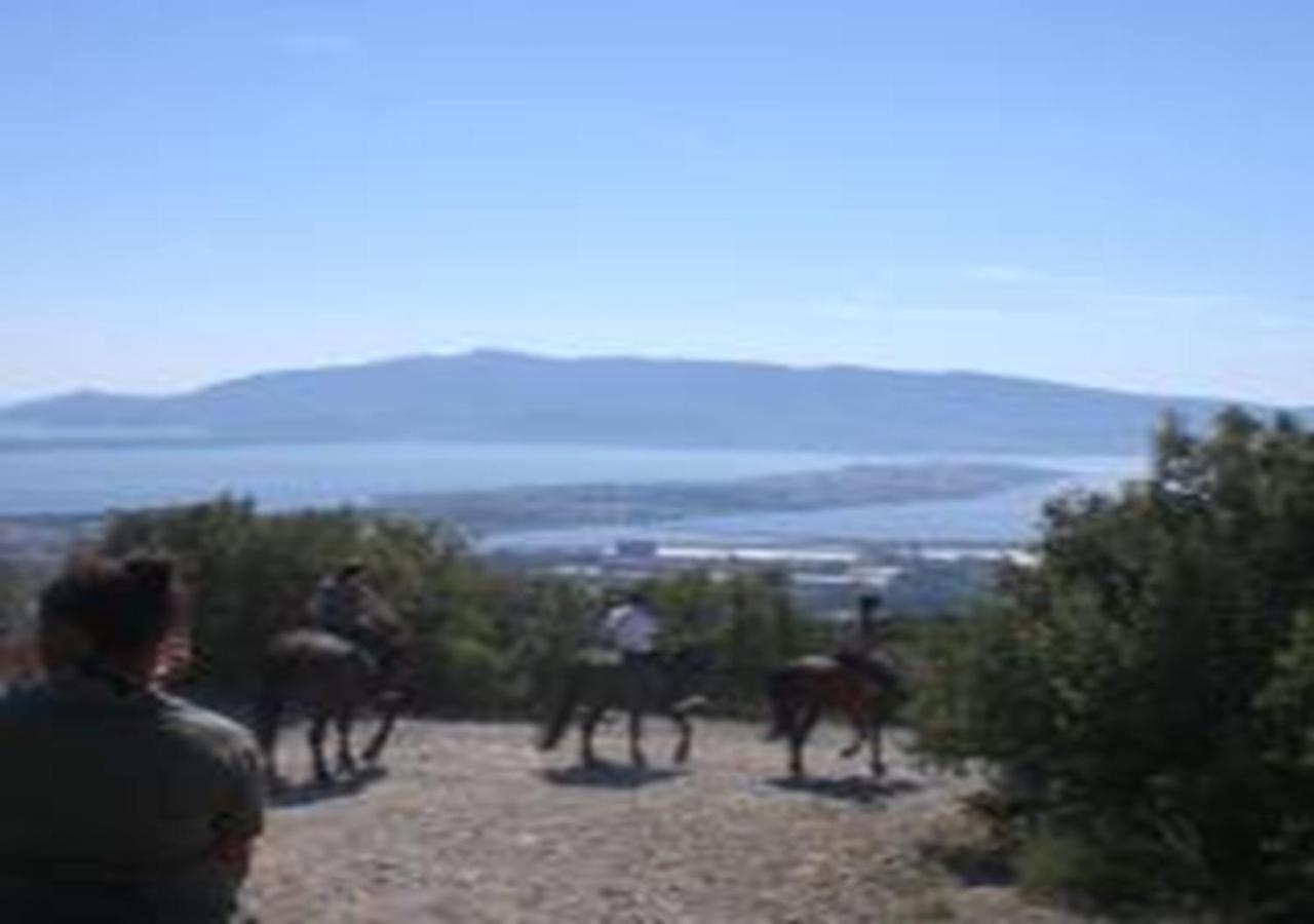 App - Il Fenicottero Con Parcheggio Gratuito Ad Orbetello Villa Dış mekan fotoğraf