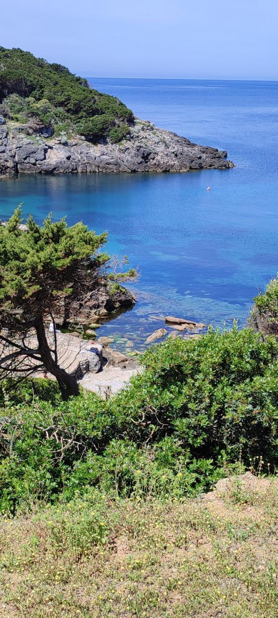 App - Il Fenicottero Con Parcheggio Gratuito Ad Orbetello Villa Dış mekan fotoğraf